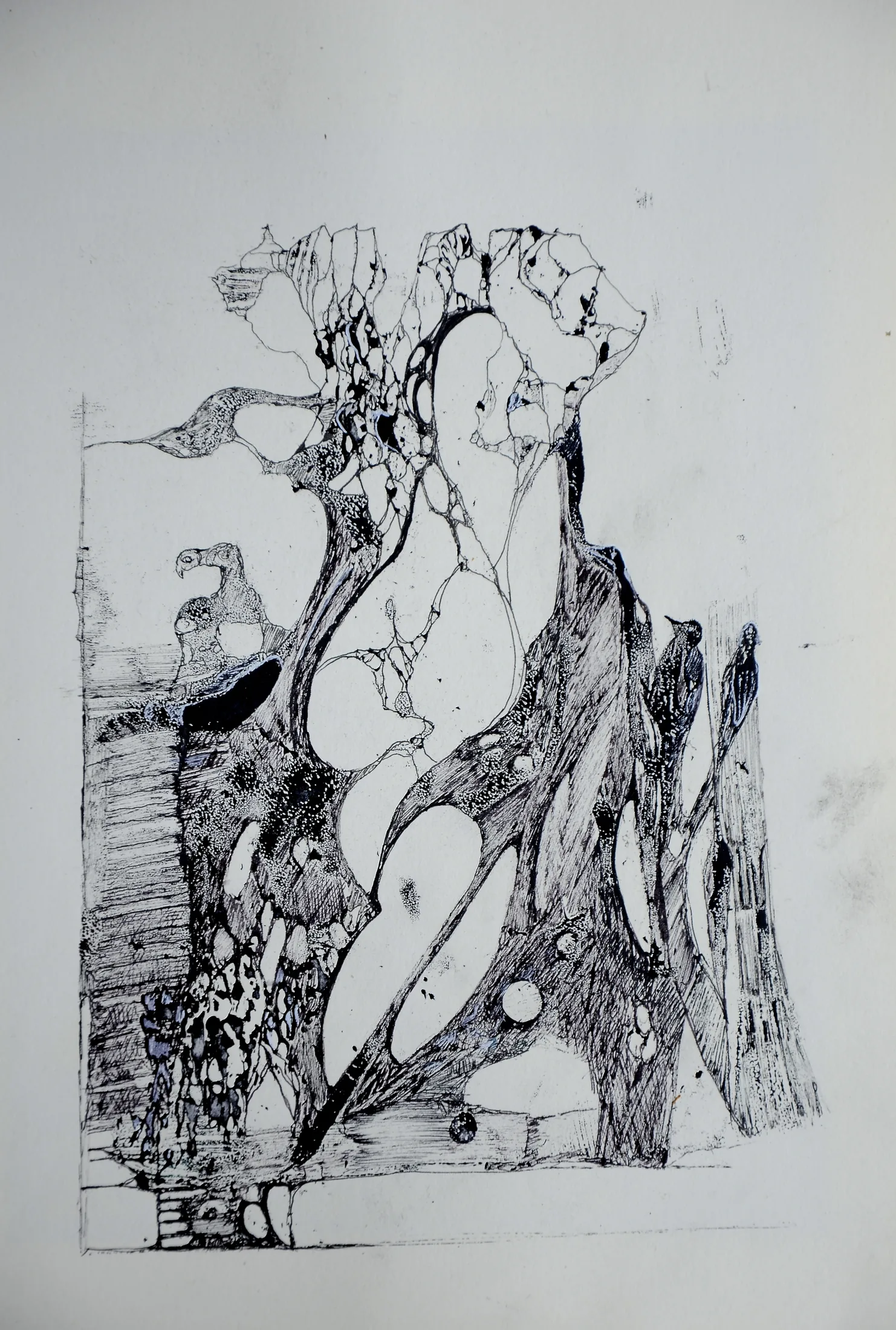 herr specht ,acryl,tusche auf papier,din a 4,2015